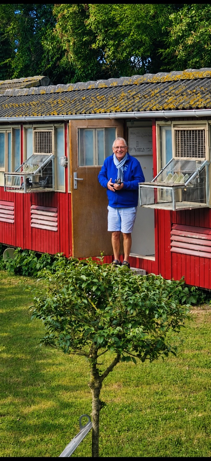 Willem van Breene met een duif bij zijn duivenhok in Normandië